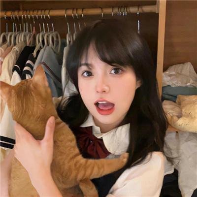 兔子的月亮